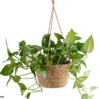 Macetero Colgante de Fibra Natural Tejida para Terraza y Balcón